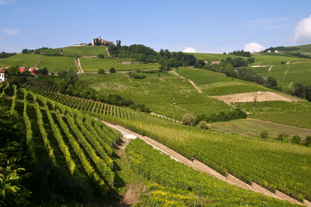 The Vineyard Landscape of Piedmont: Langhe-Roero and Monferrato