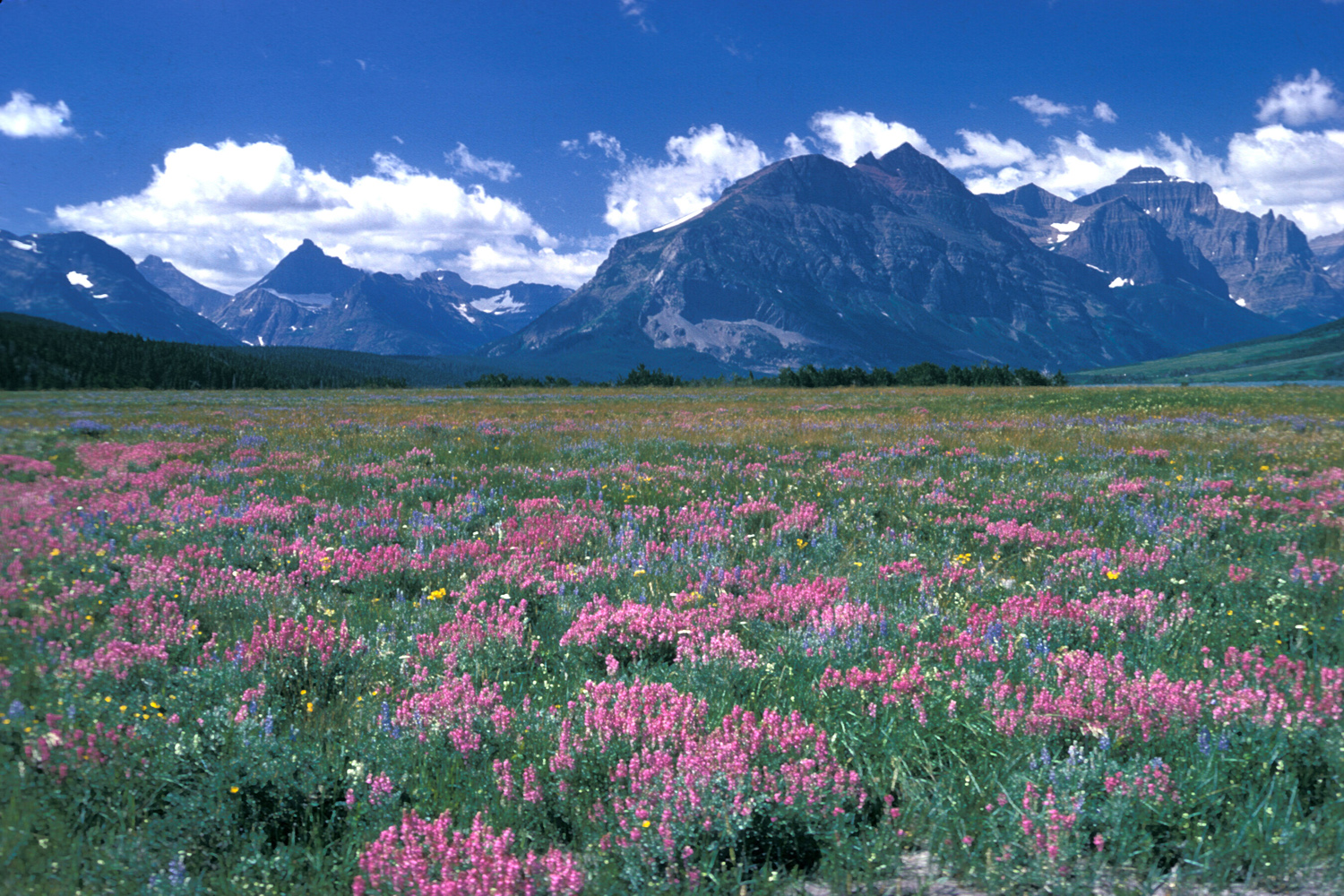 Montana, United States