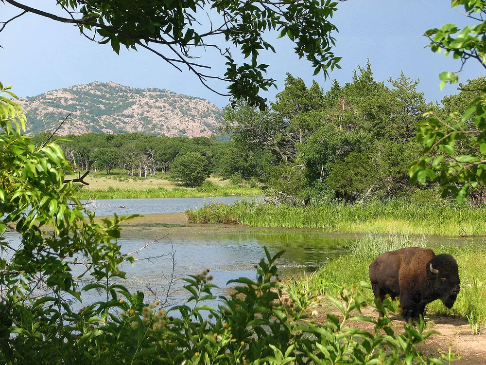 Wichita Mountains Wildlife Refuge, United States