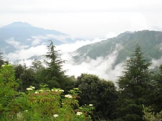 Chail, India
