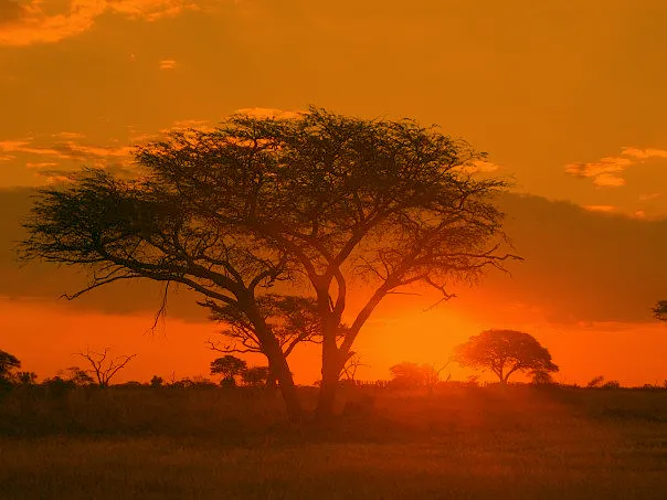 Matobo Hills