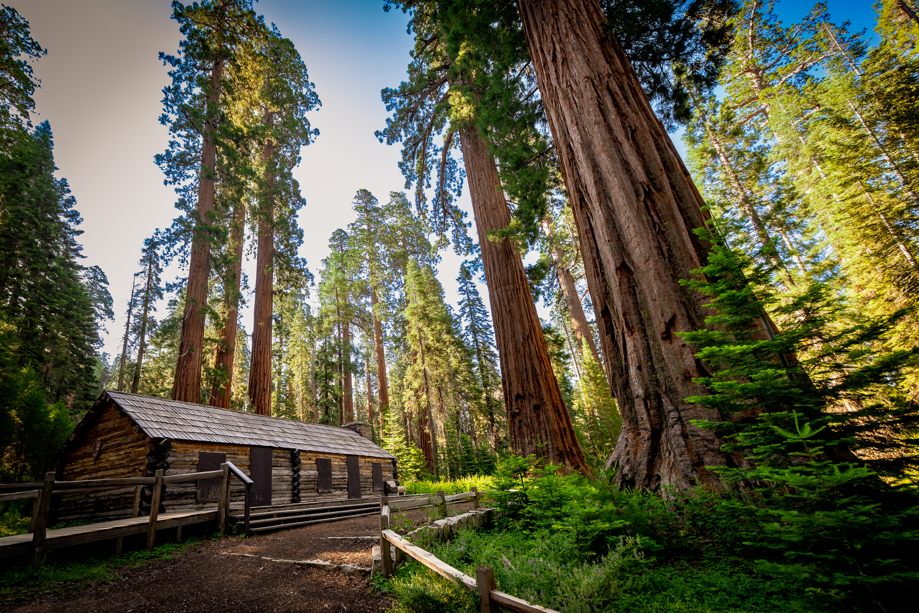 Mariposa Grove Museum