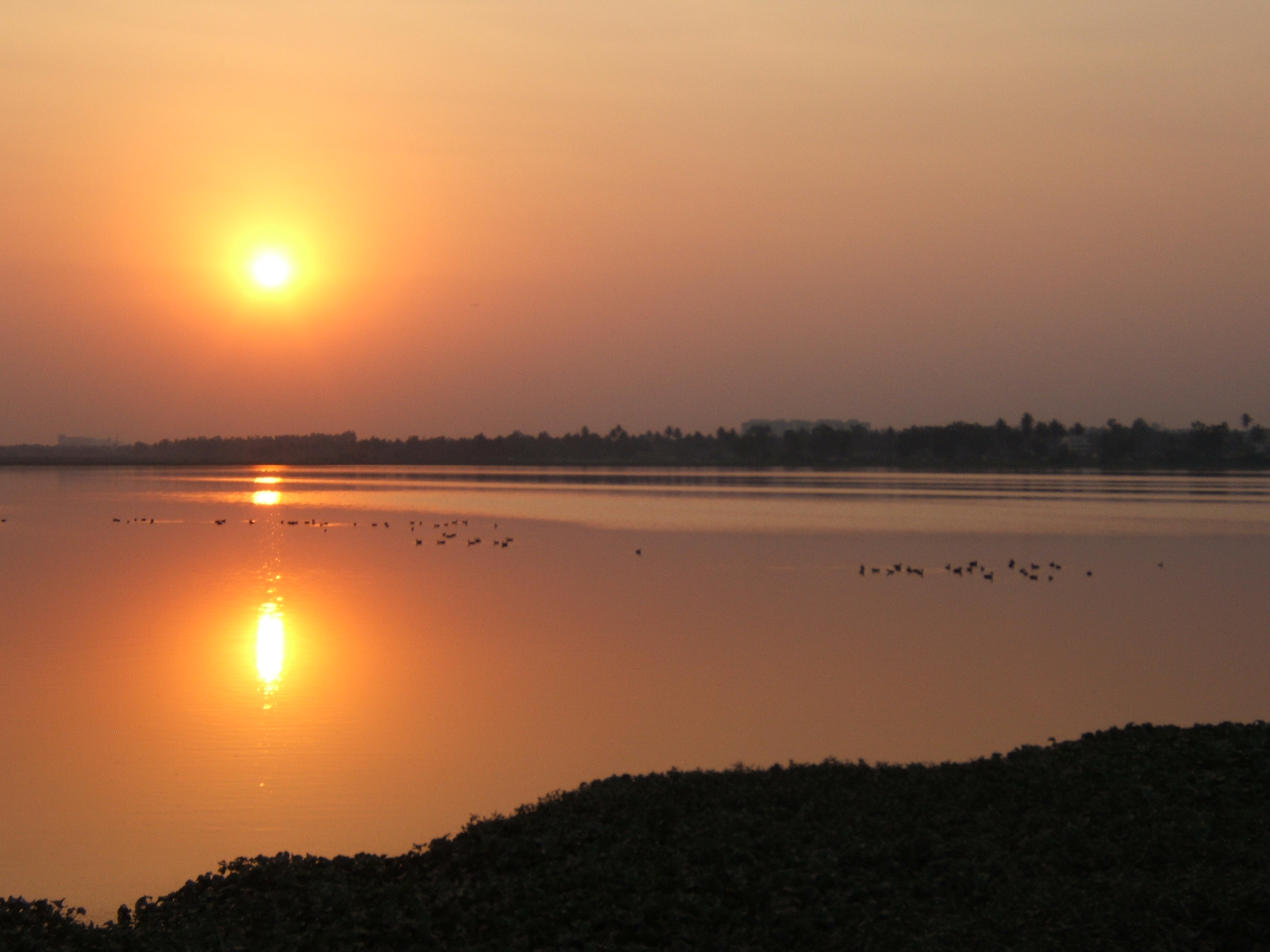 Varthur Lake
