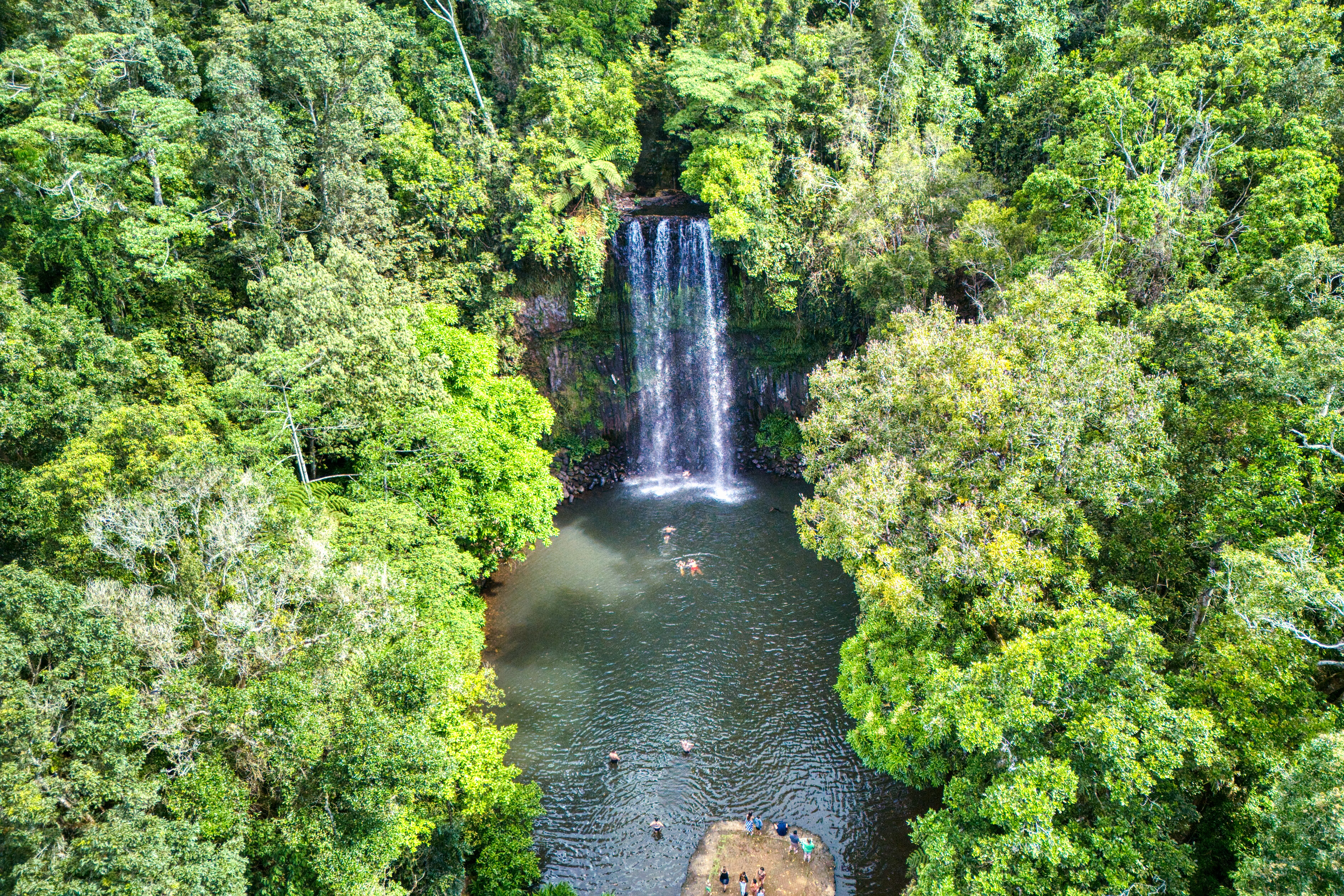 Millaa Millaa Falls