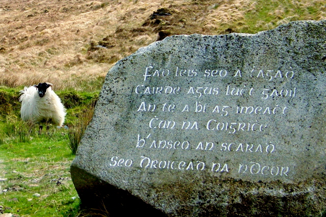 Gort an Choirce, Ireland