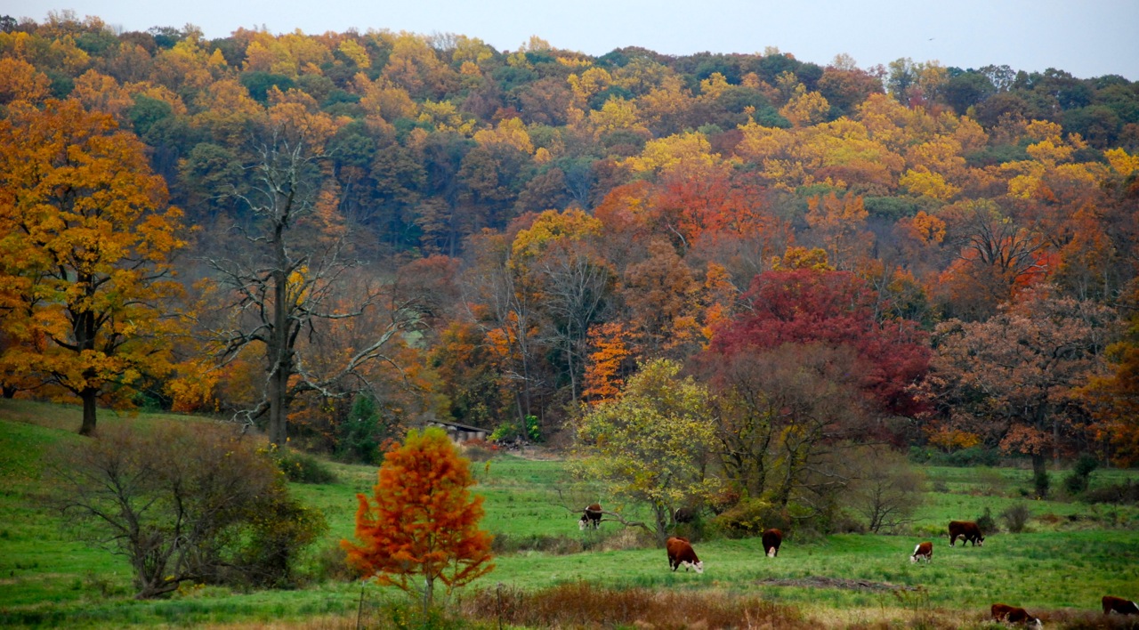 Bernardsville, United States