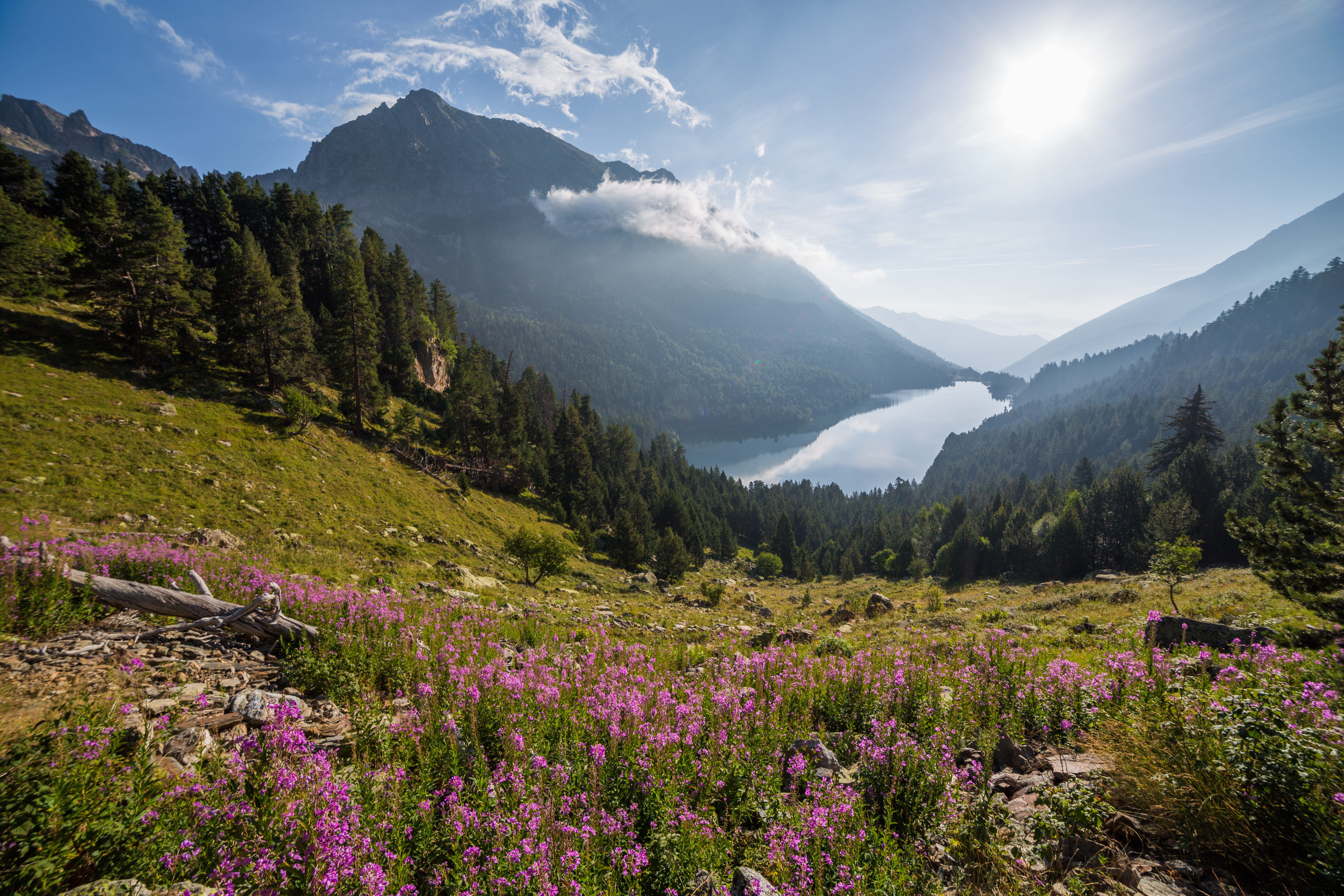 Aigüestortes i Estany de Sant Maurici National Park