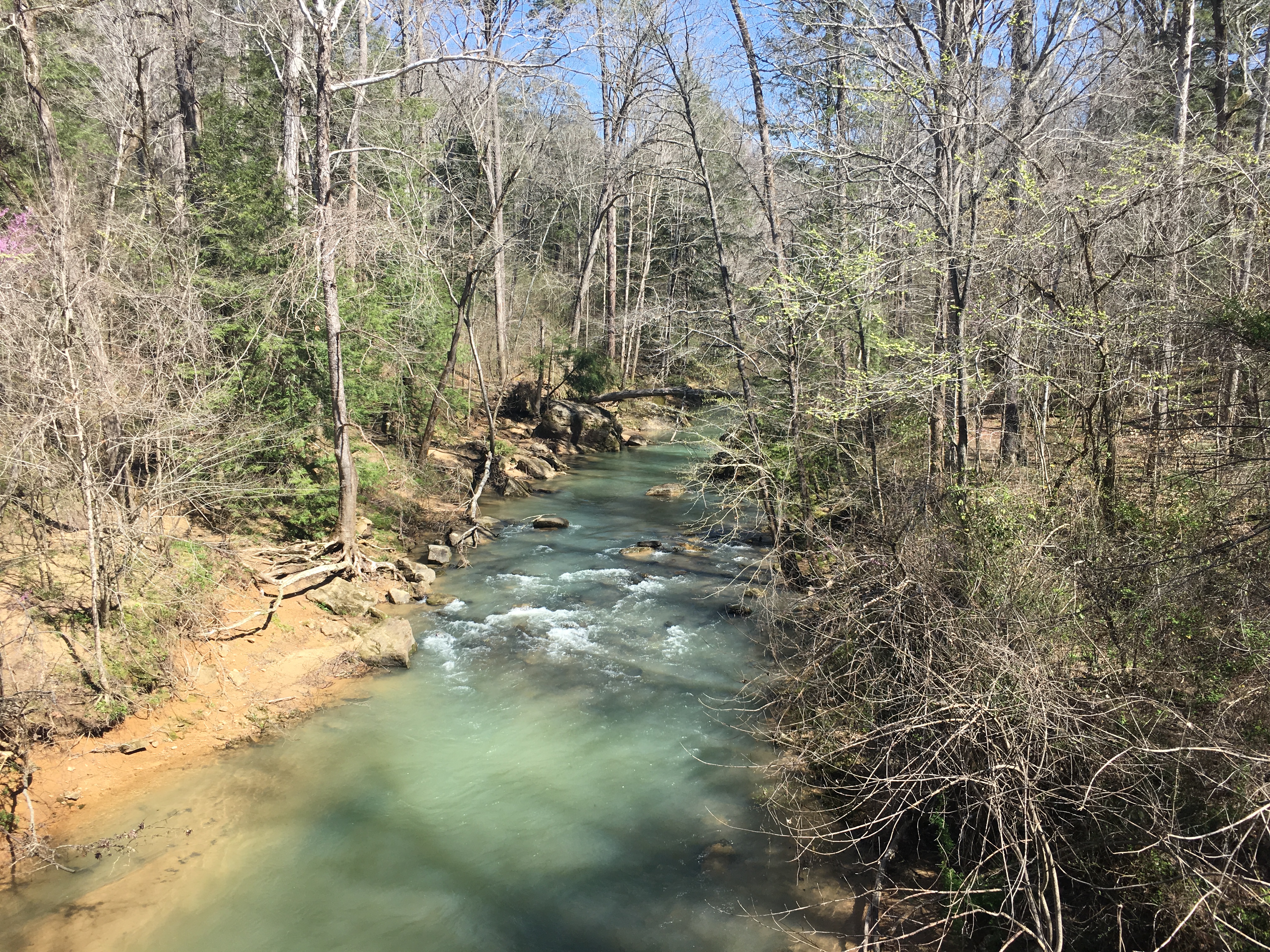 Sipsey Wilderness, United States