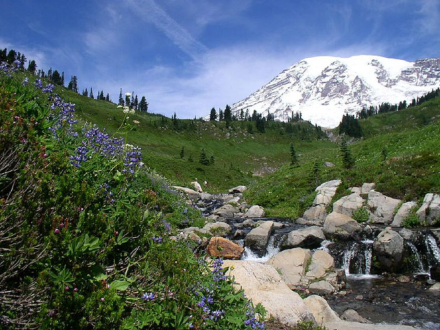 Mount Rainier National Park, United States