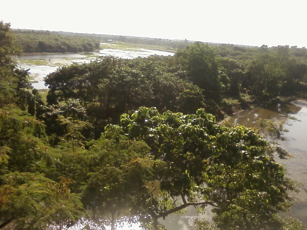 Rasikbil, India