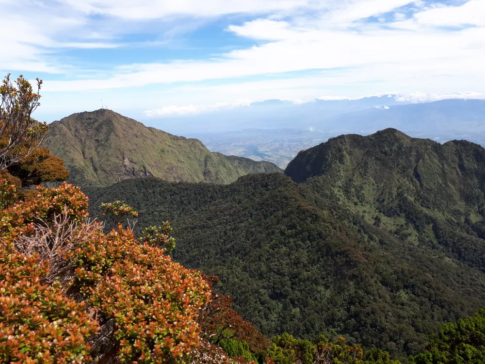 Mount Kitanglad
