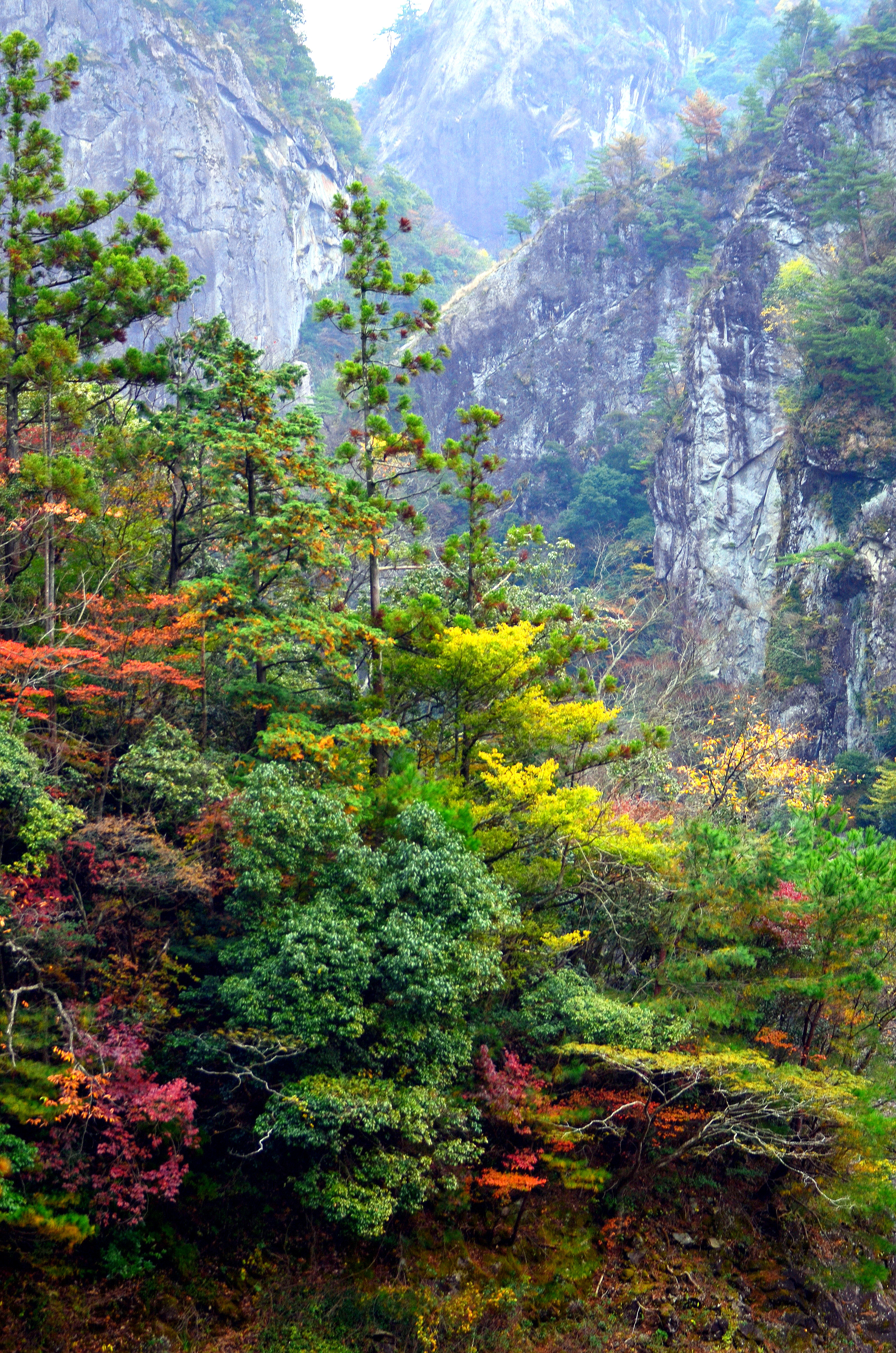 Yame, Japan