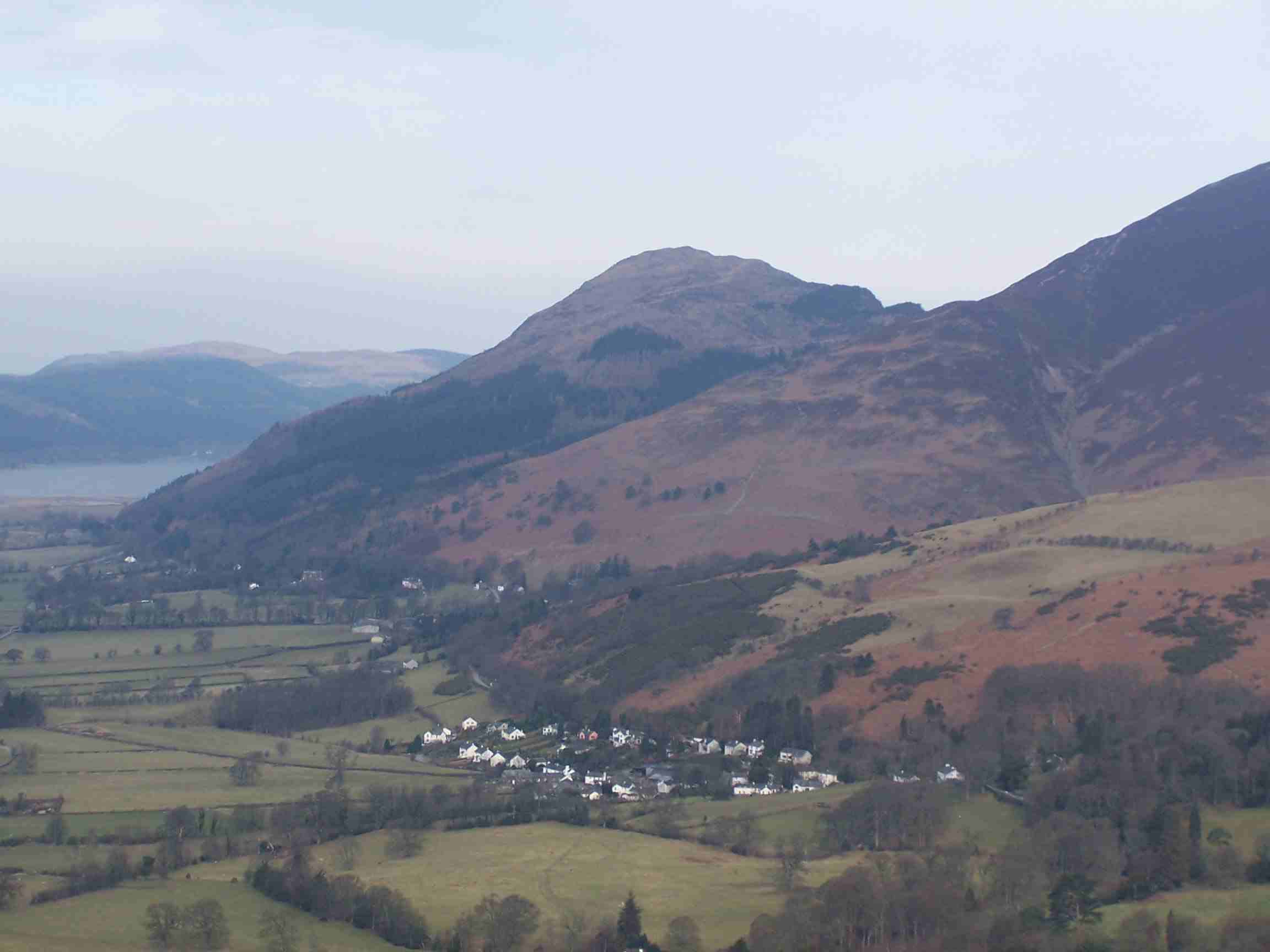 Dodd