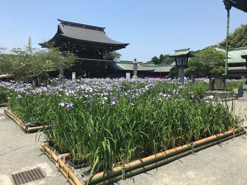 Fukutsu, Japan