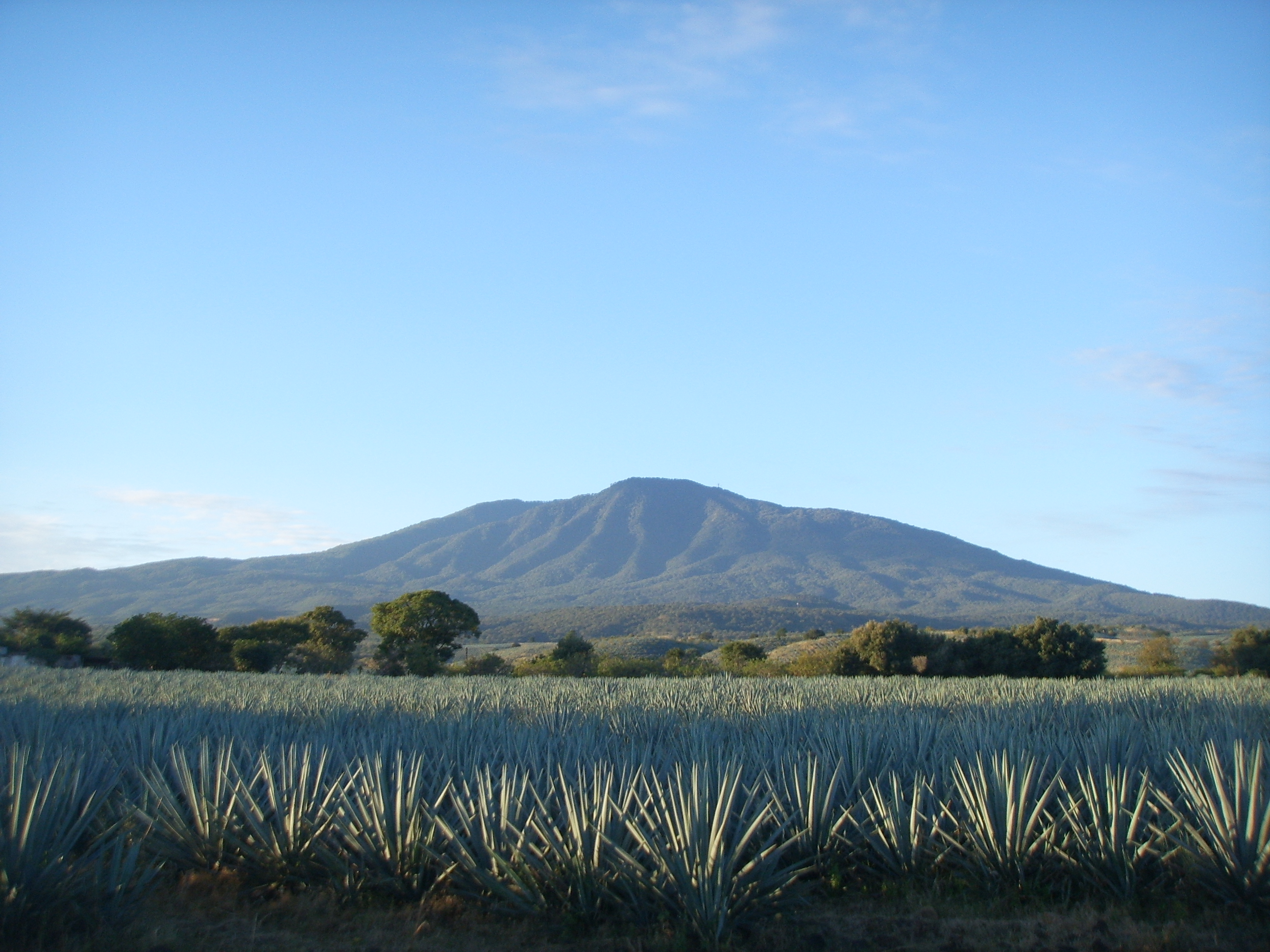 Tequila Volcano