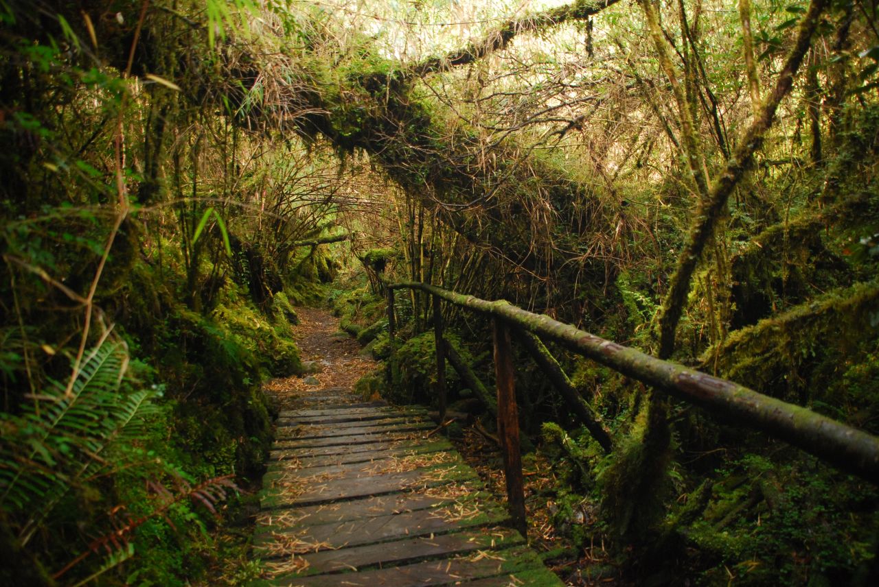 Queulat National Park, Chile