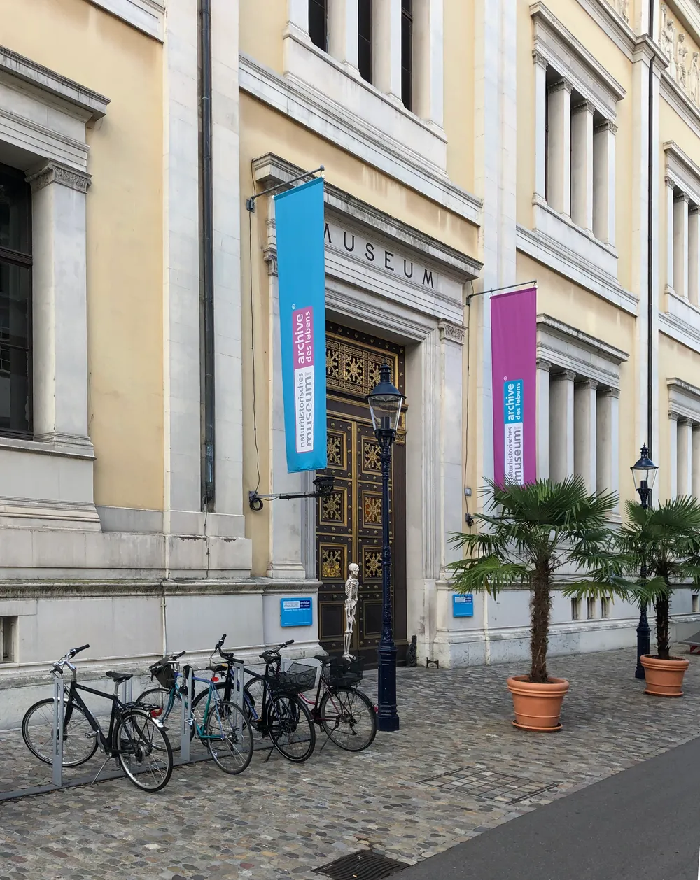 Natural History Museum of Basel