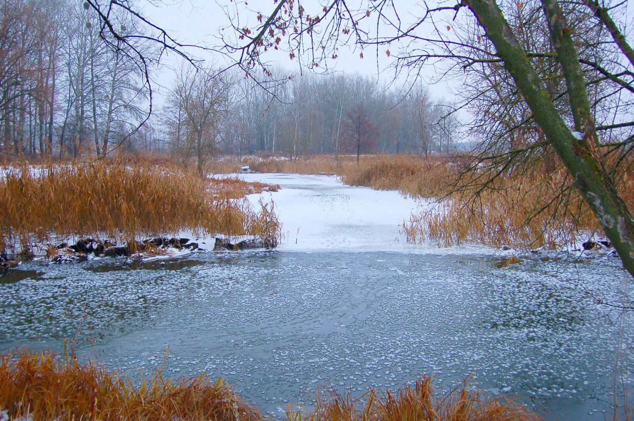 Sloboda National Nature Park
