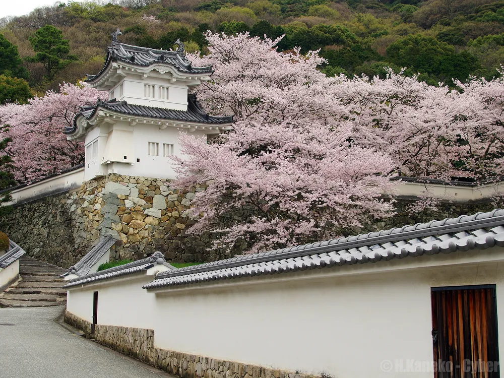 Tatsuno, Japan
