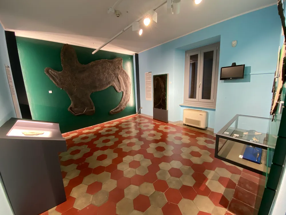 Civic Museum of Fossils of Besano