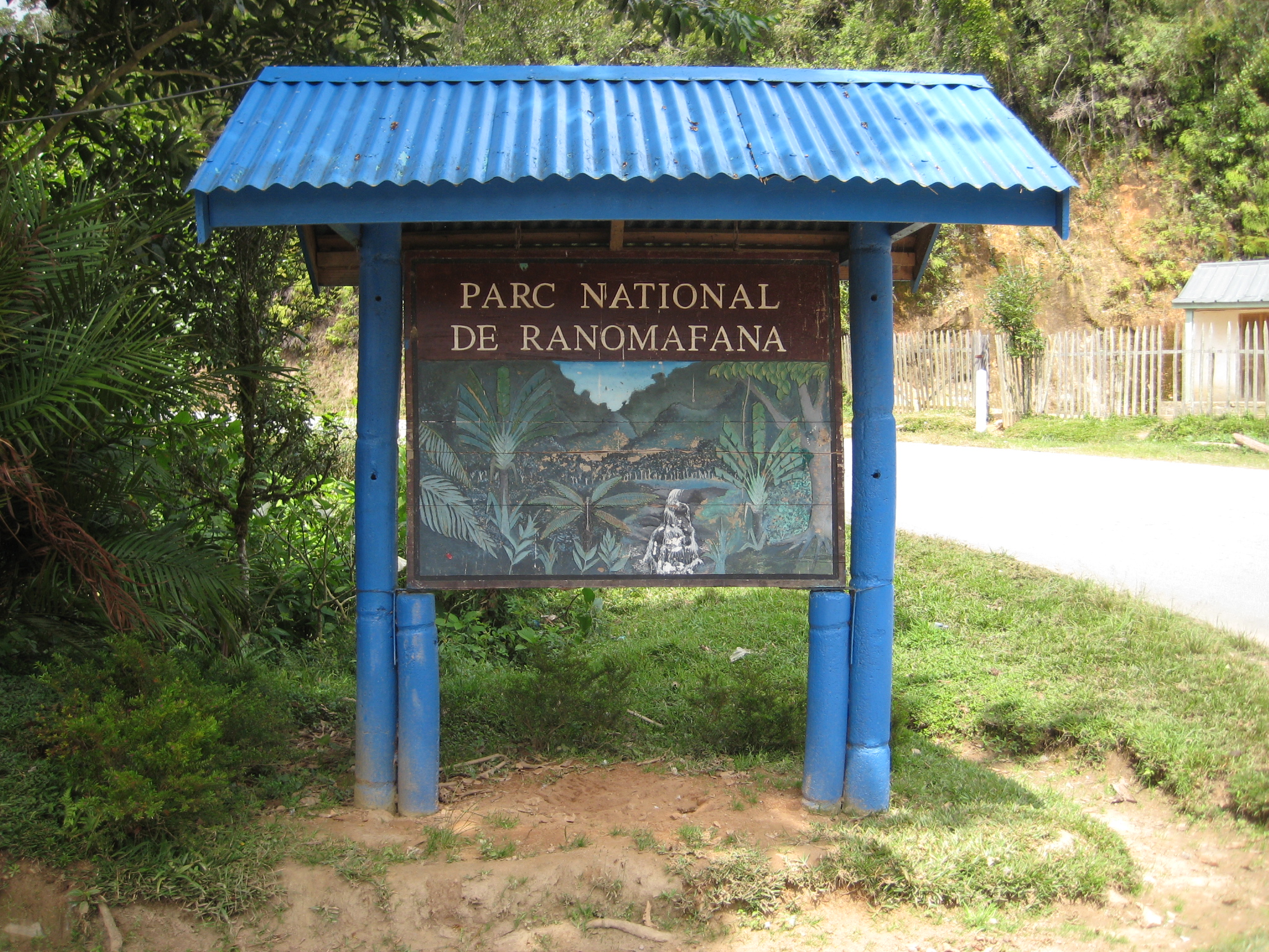 Ranomafana National Park