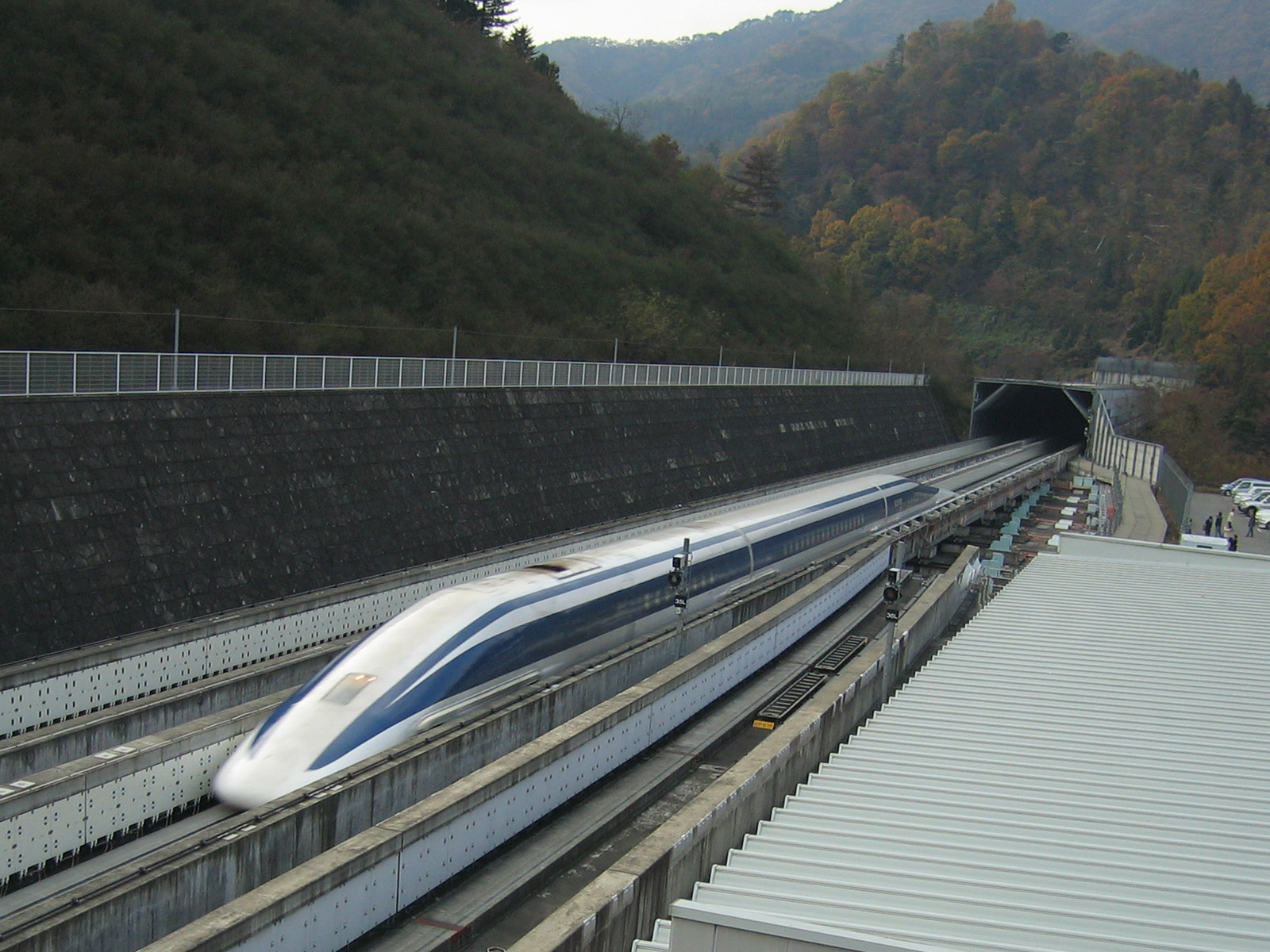 Tsuru, Japan