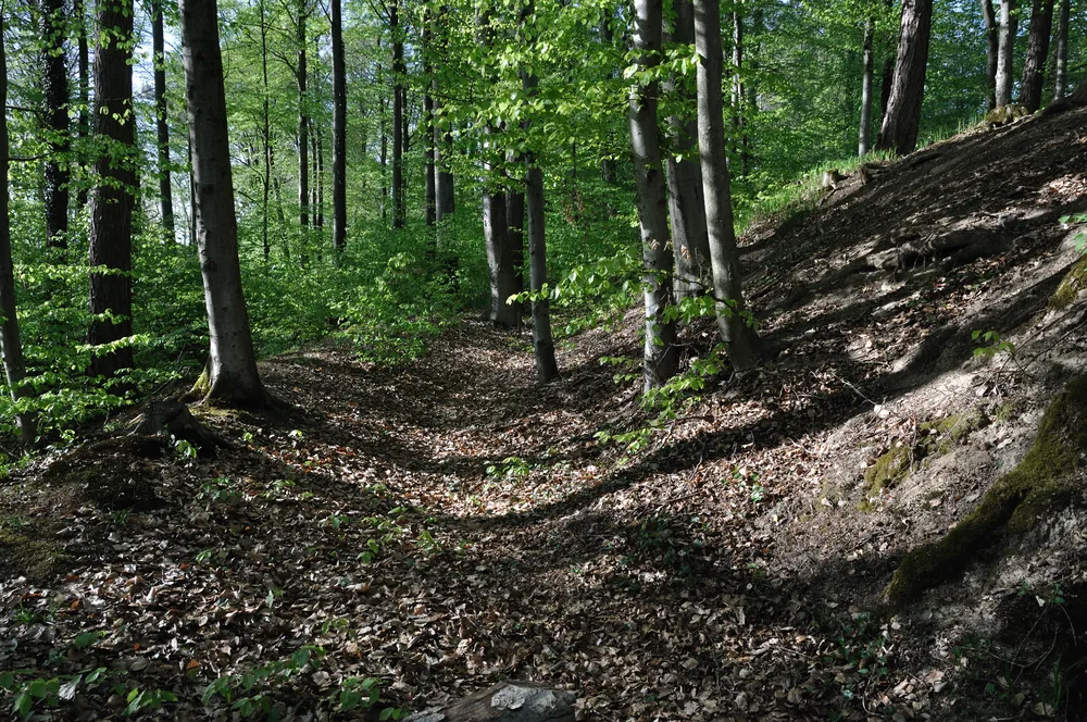 Burg Altraderach