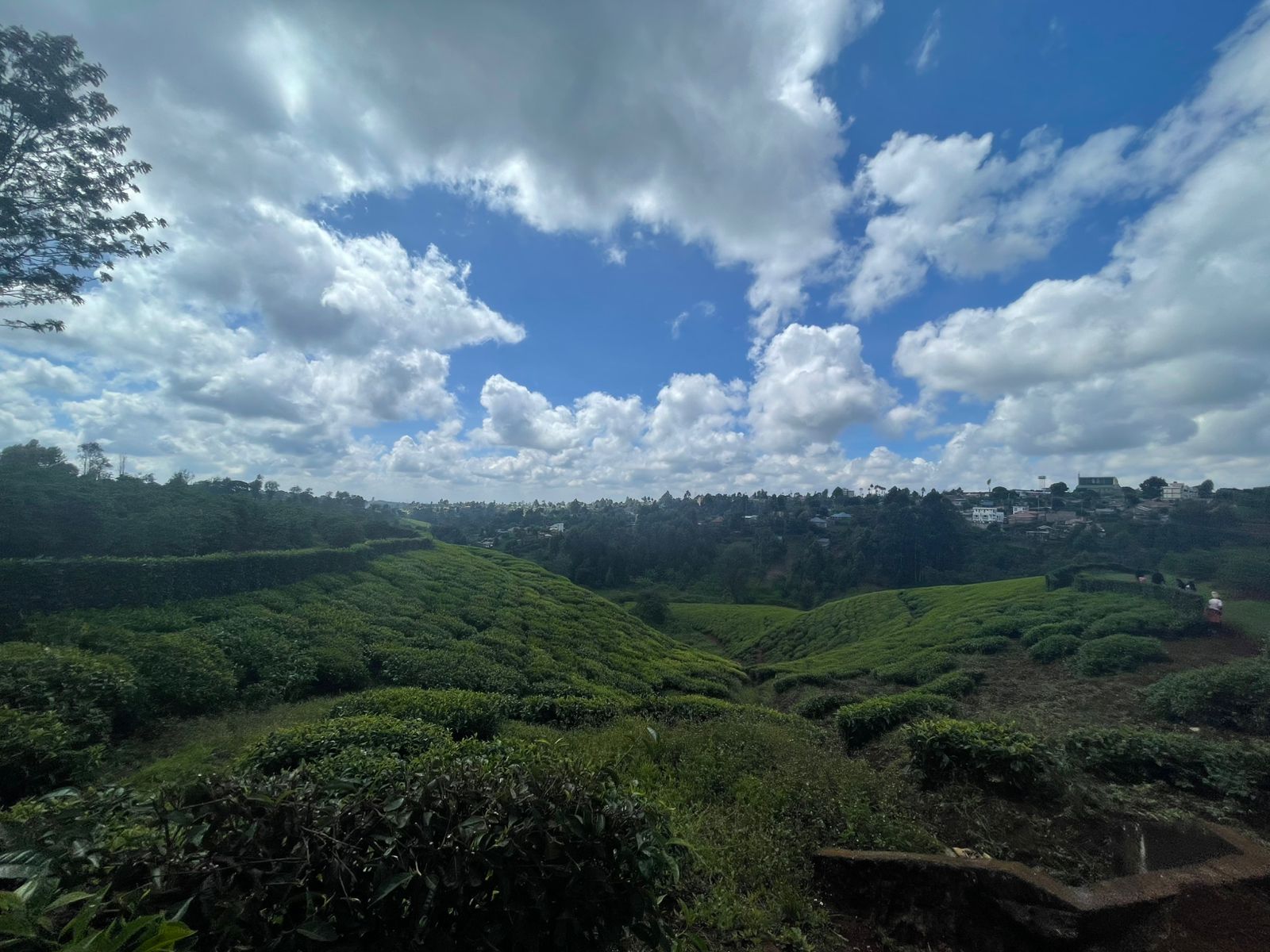 Kiambu, Kenya