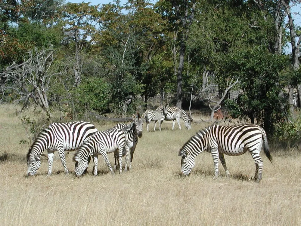 Saanane Island National Park