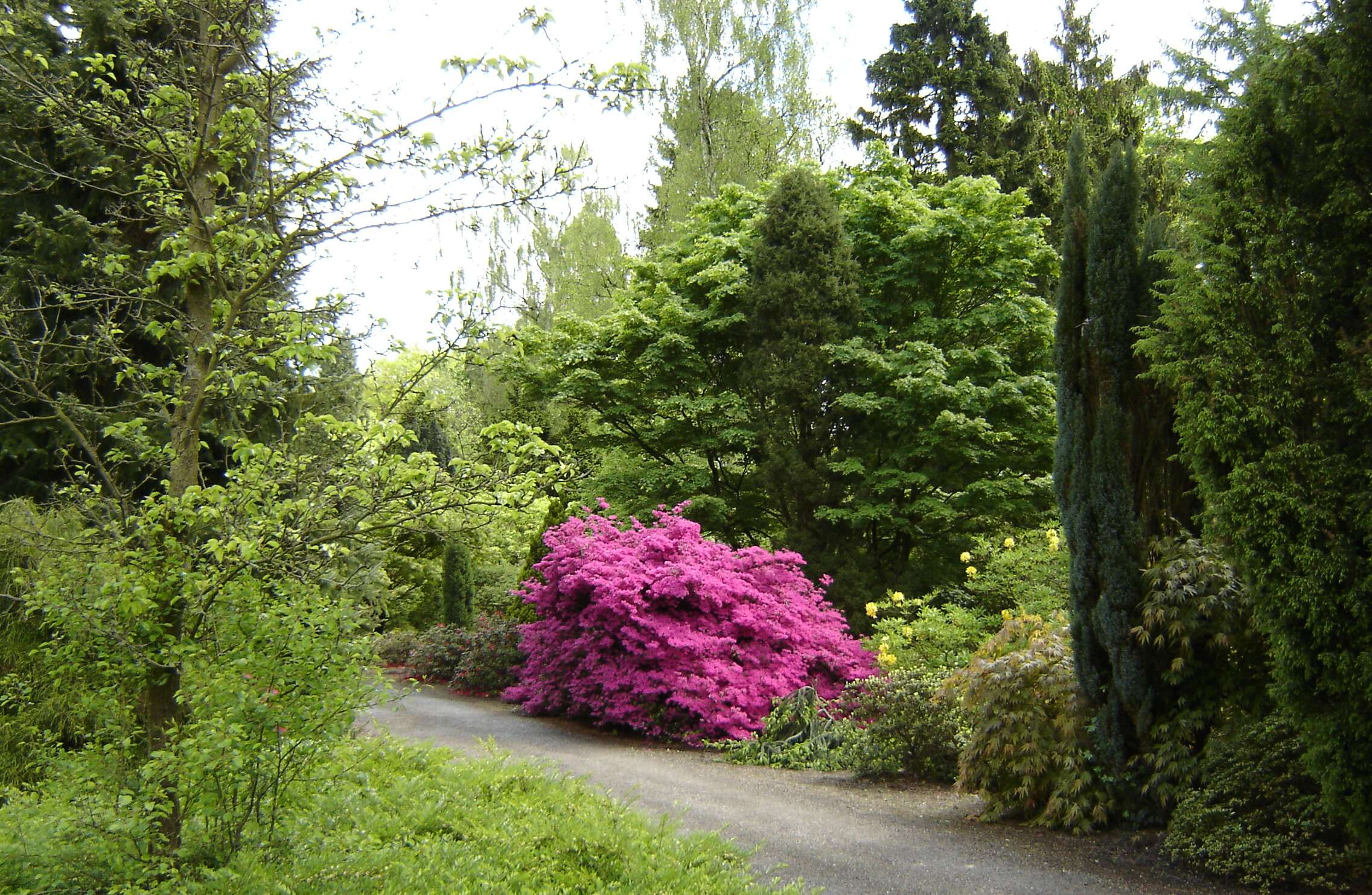 Von Gimborn Arboretum