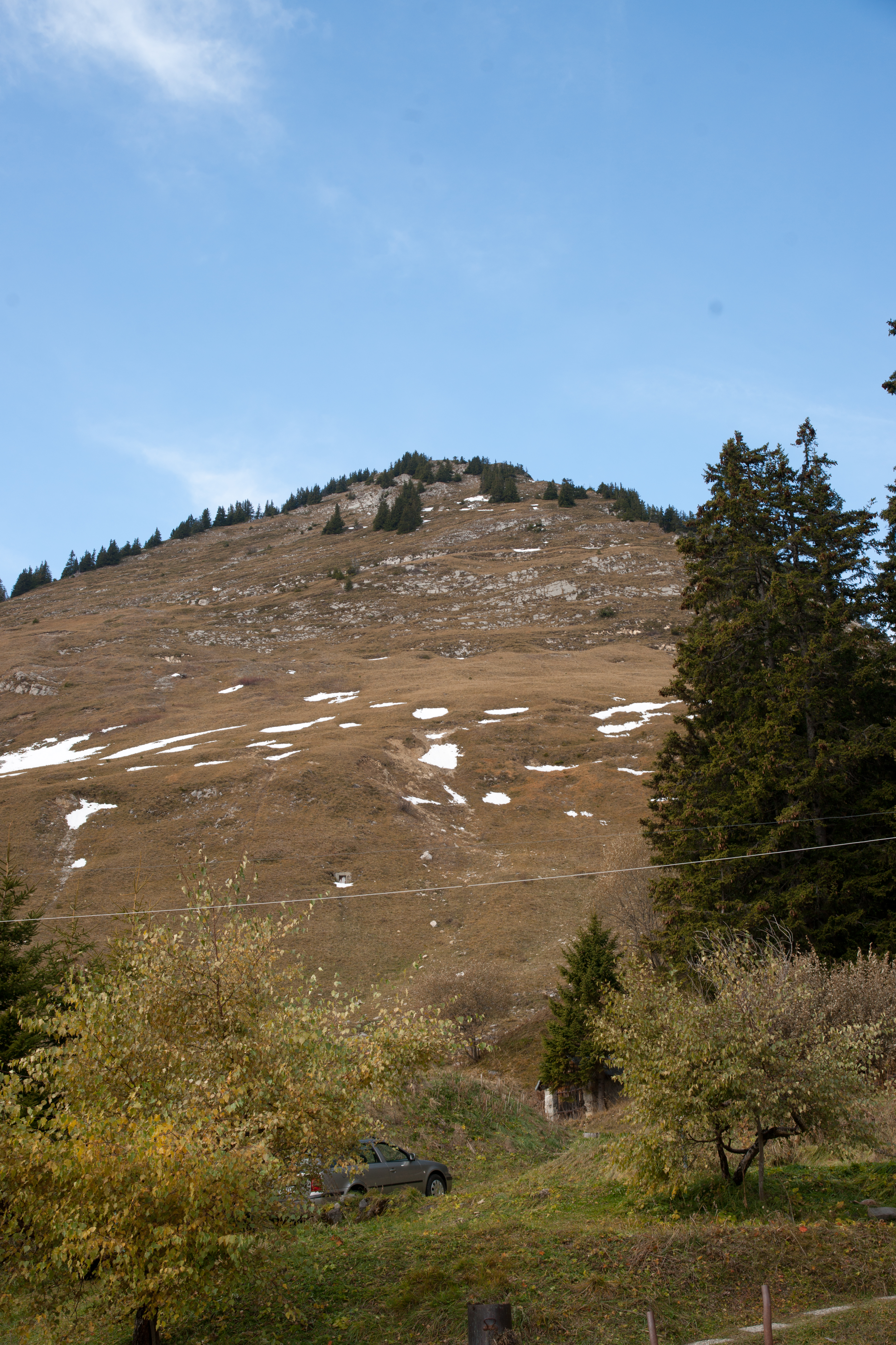 Mont d'Or