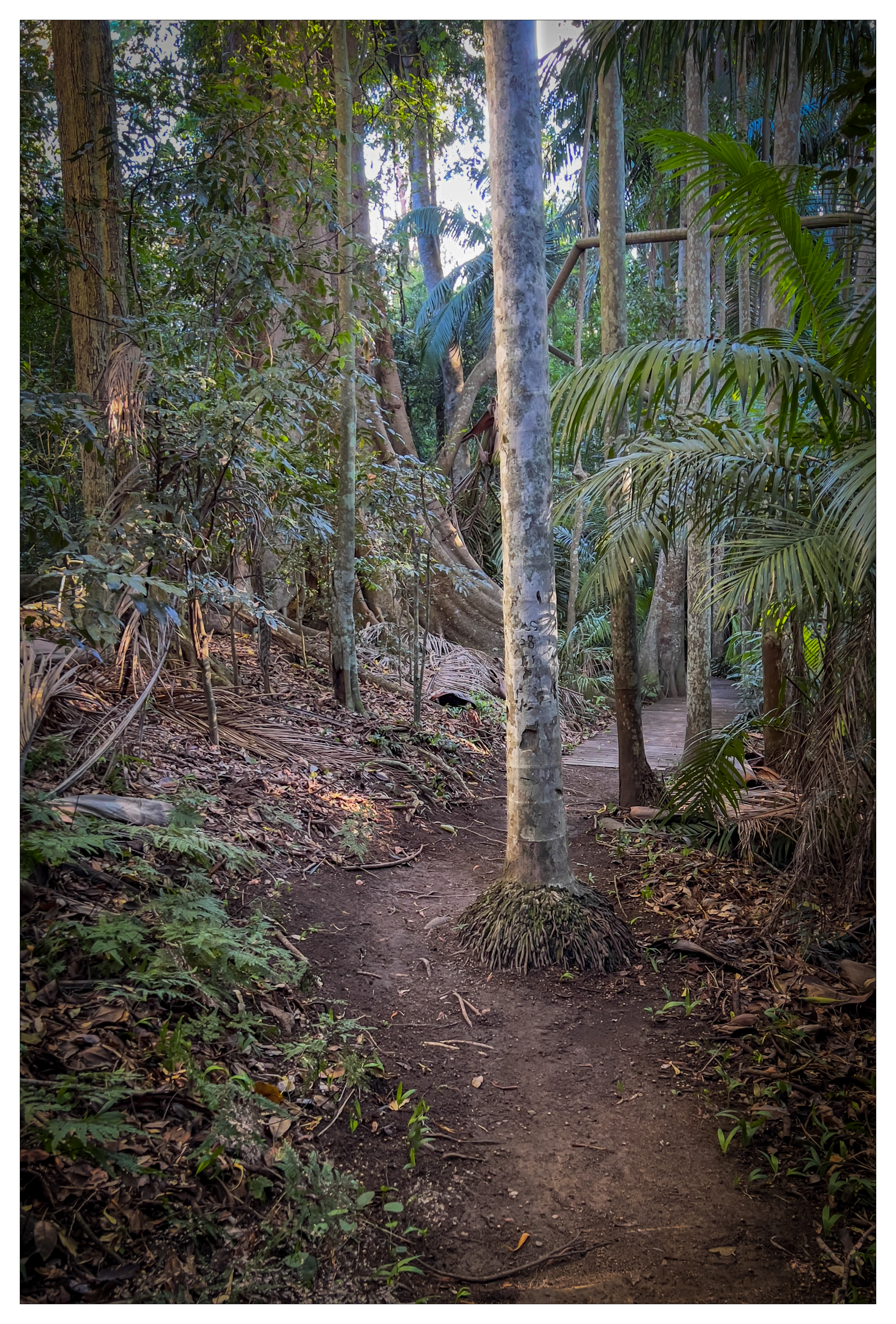 The Palms National Park