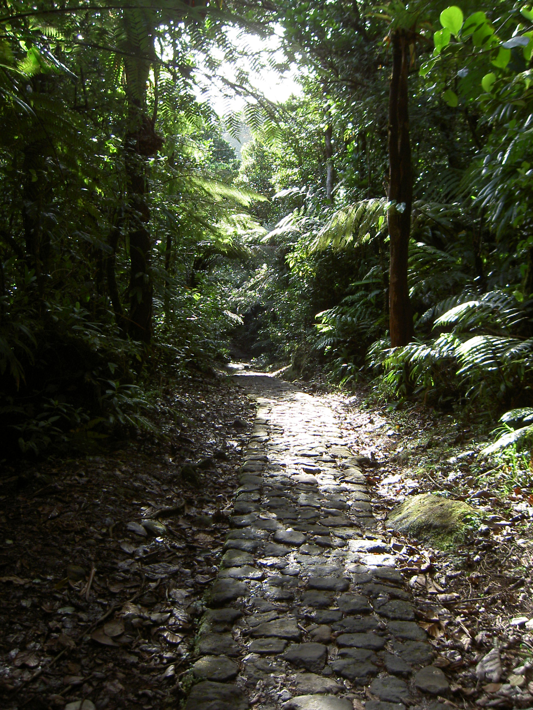 Guadeloupe National Park