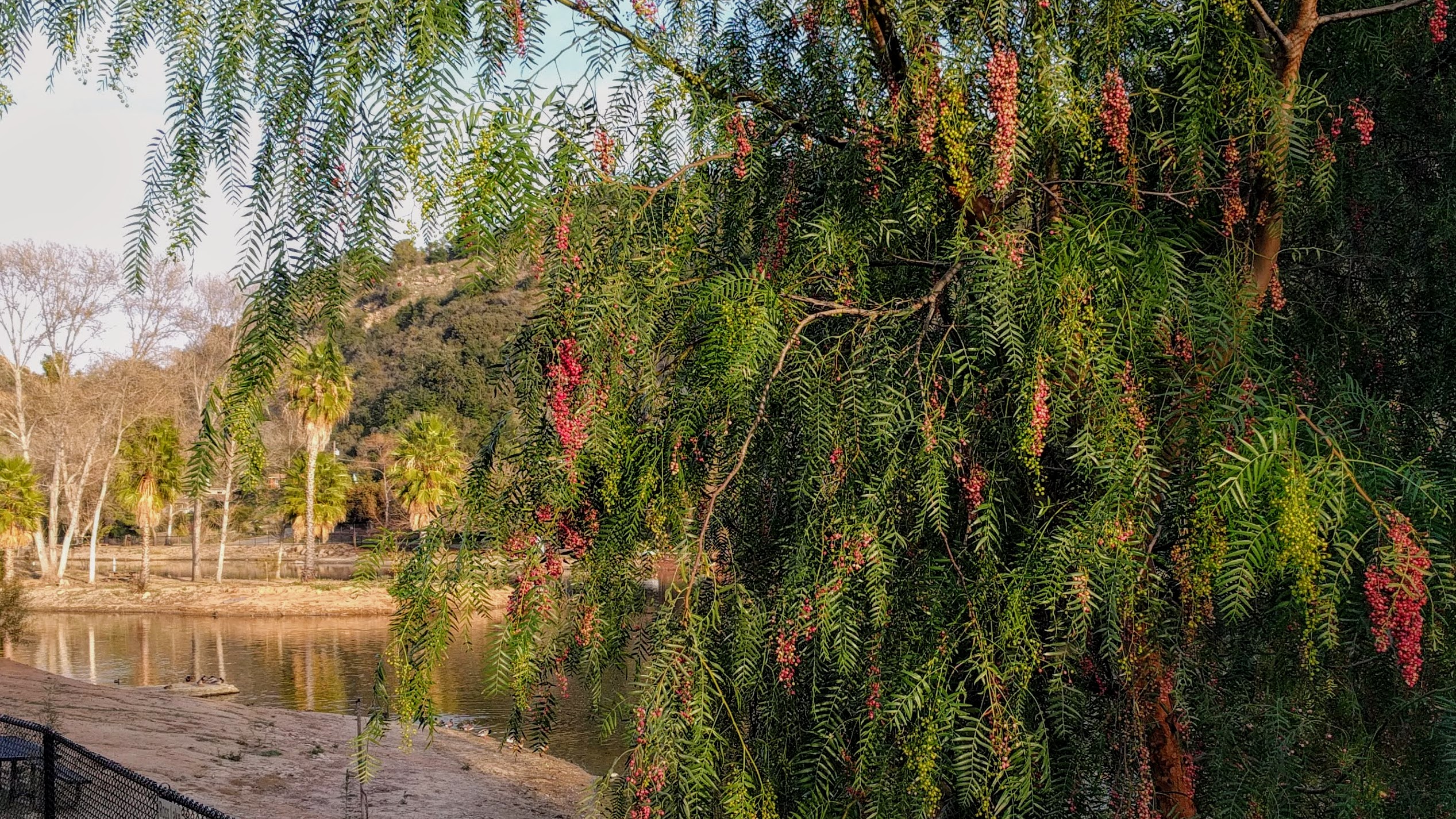 Fallbrook, United States