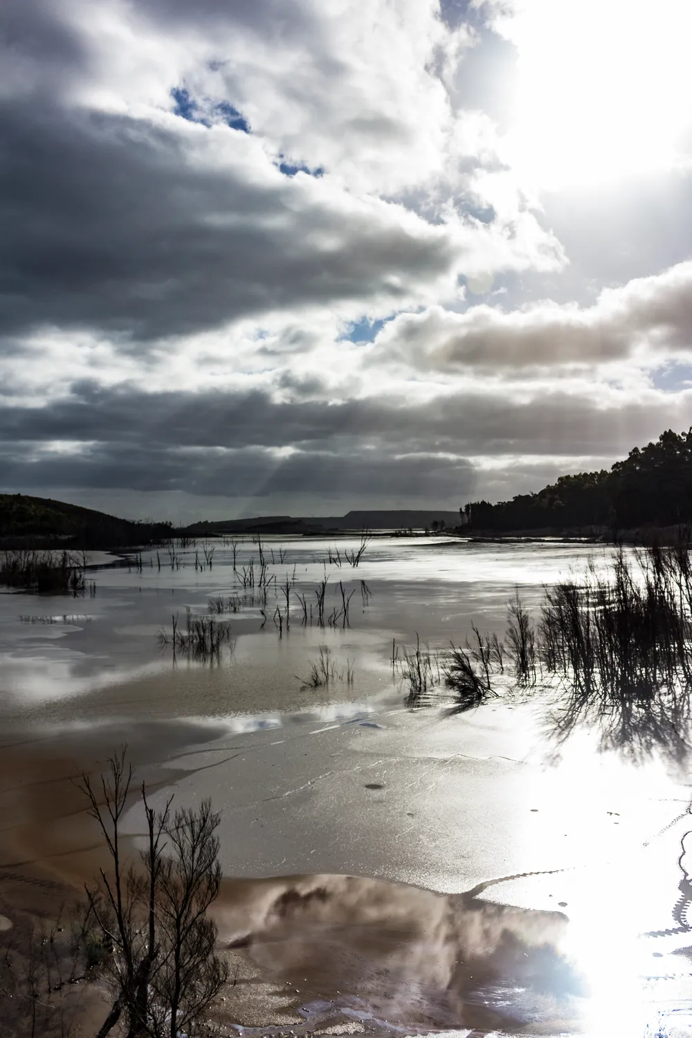 Savage River National Park