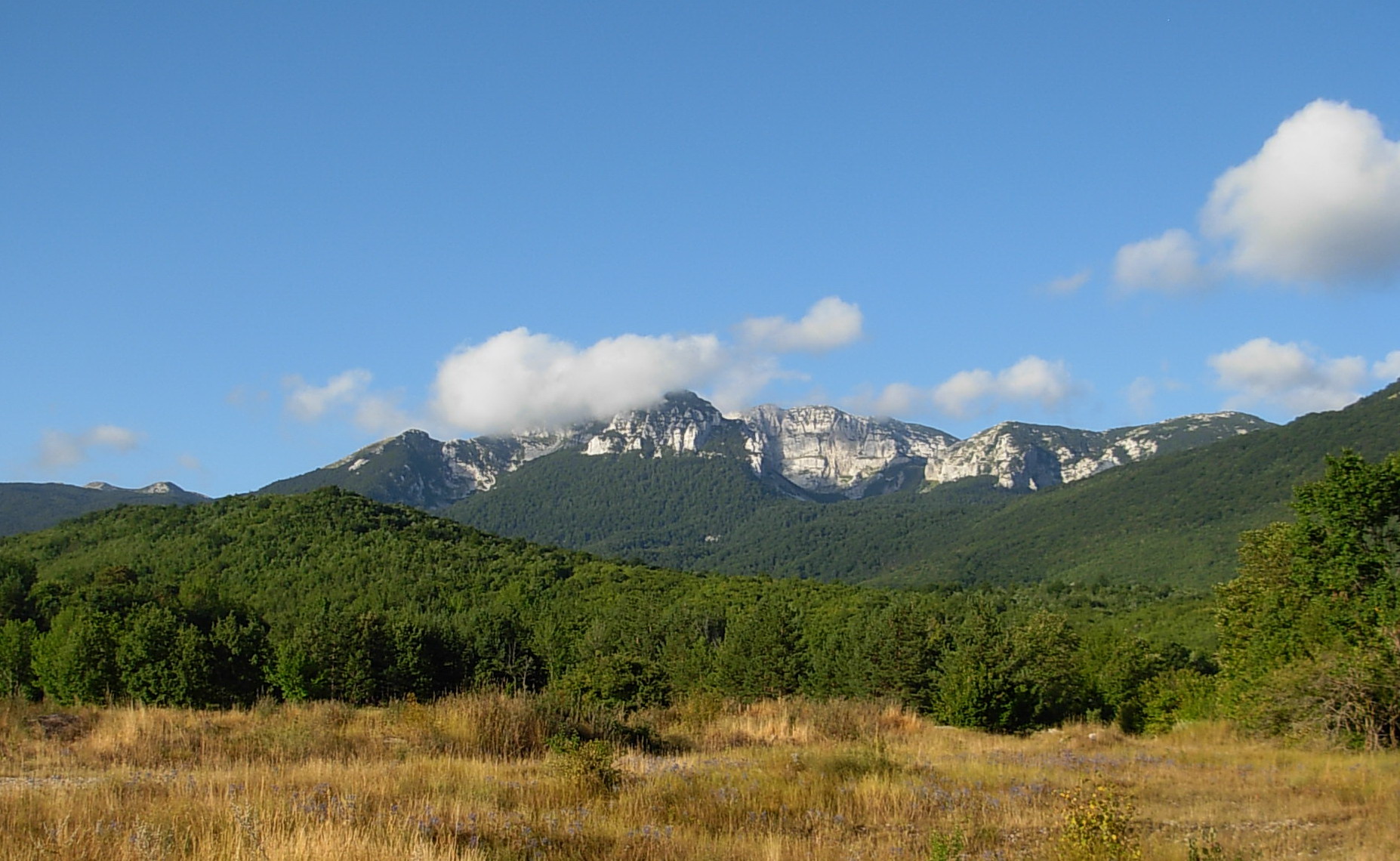Troglav