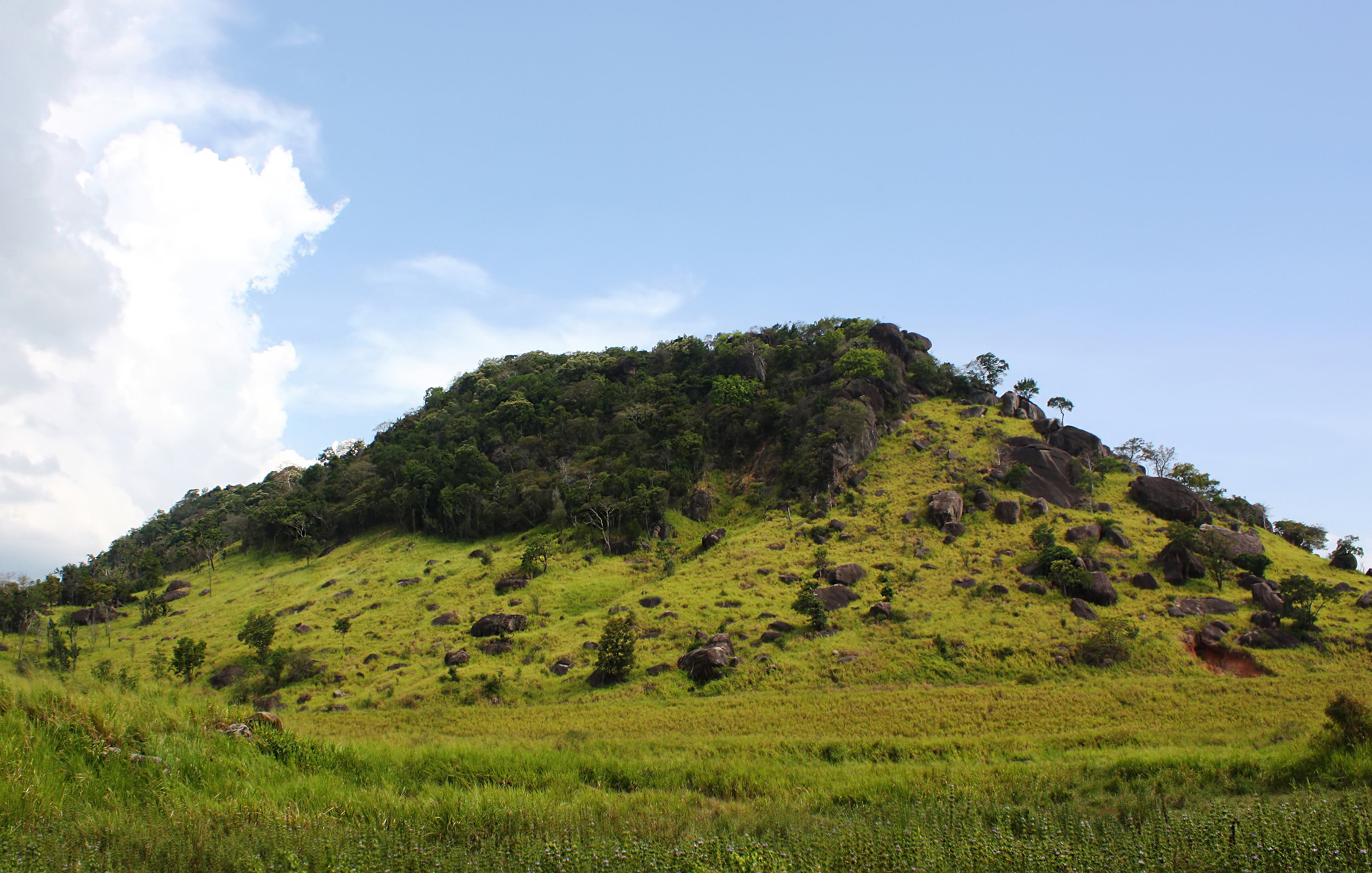 Maduru Oya National Park