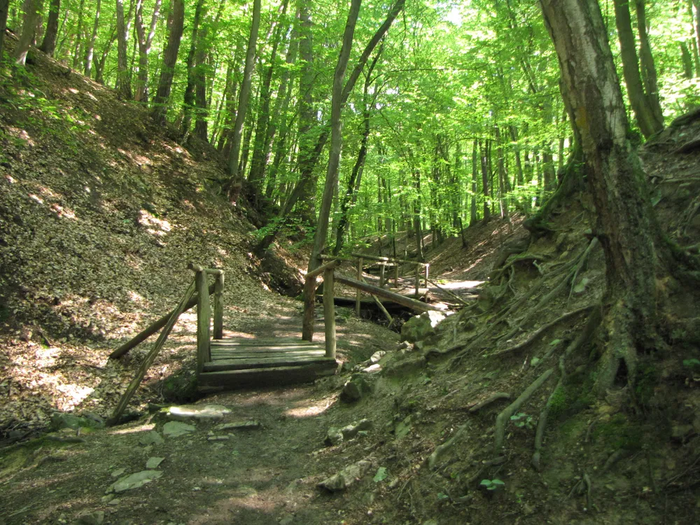 Rheinburgenweg
