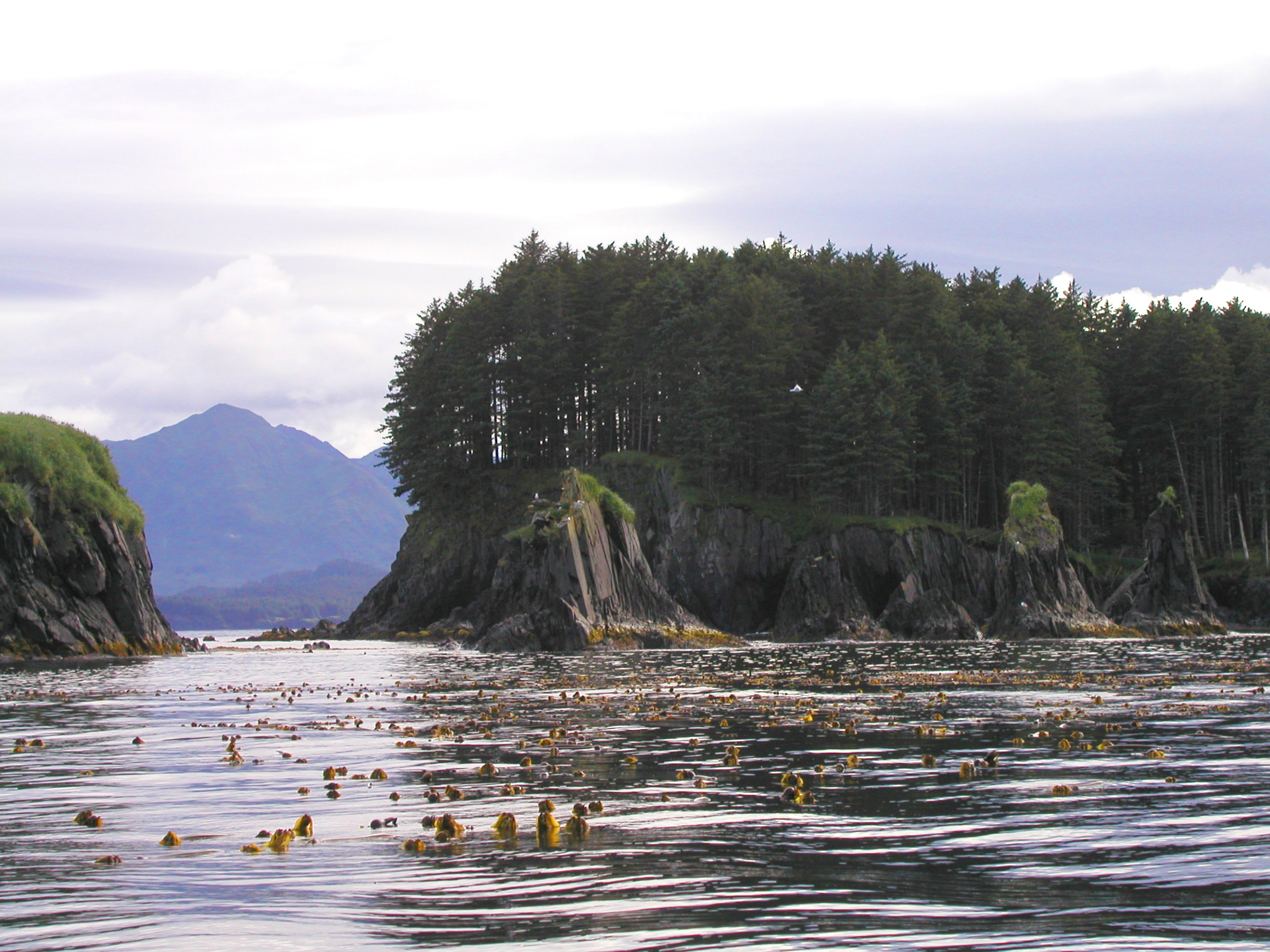 Spruce Island