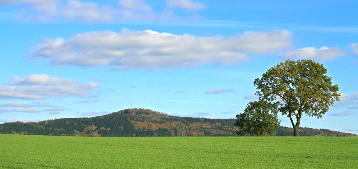 Kottmar