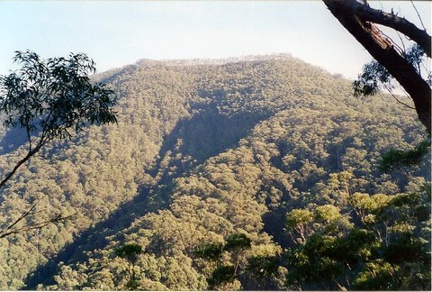 Mount Imlay National Park