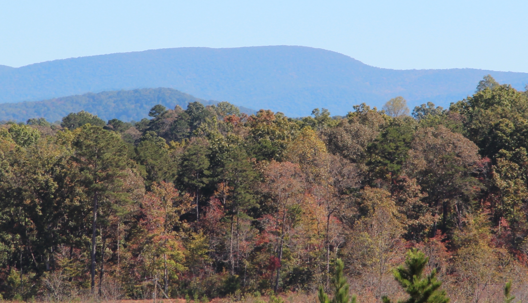 Springer Mountain