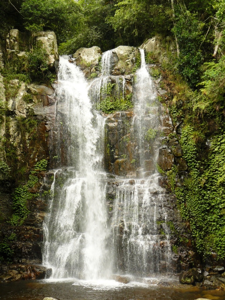 Budderoo National Park