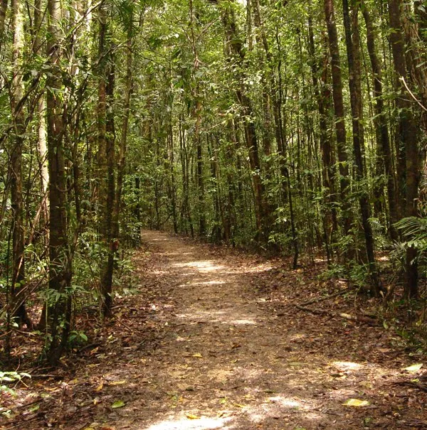 Paluma, Australia