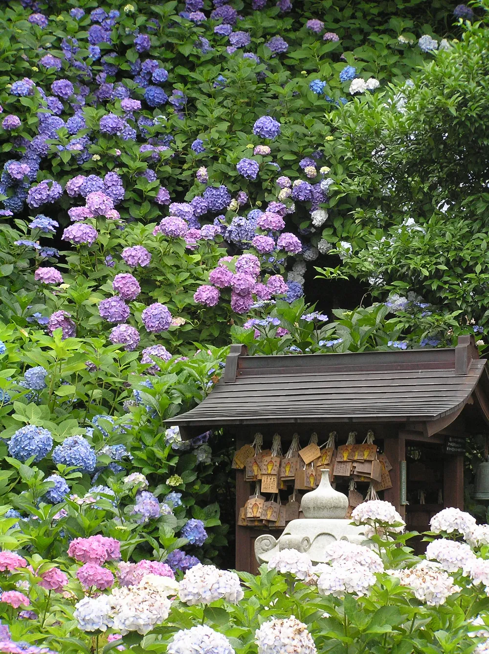 Fukuchiyama, Japan