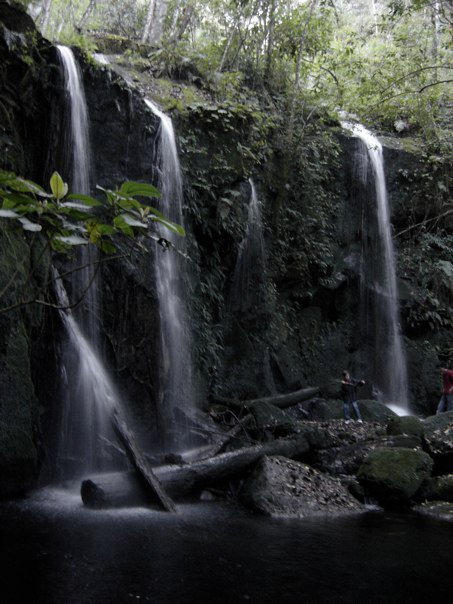 Sierra de Manantlán Biosphere Reserve, Mexico