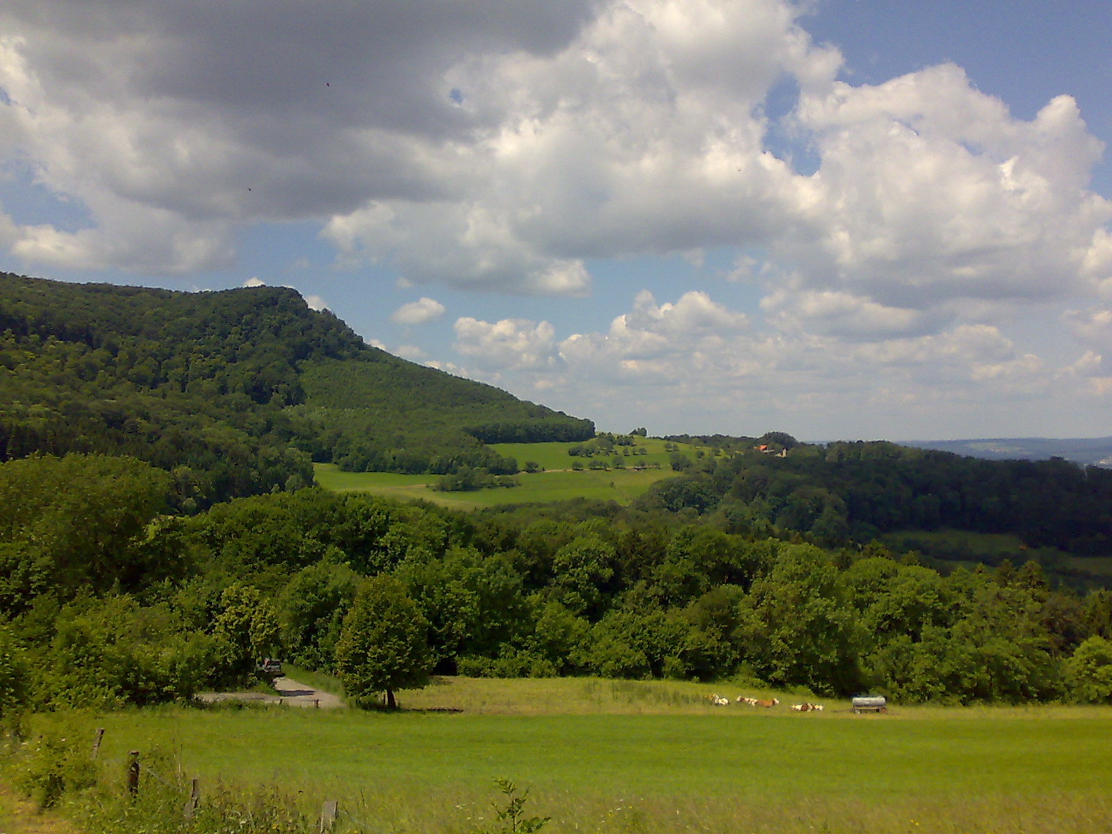 Fuchseck