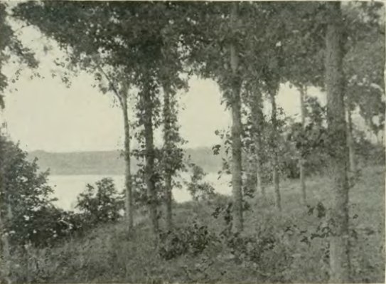 East Okoboji Lake