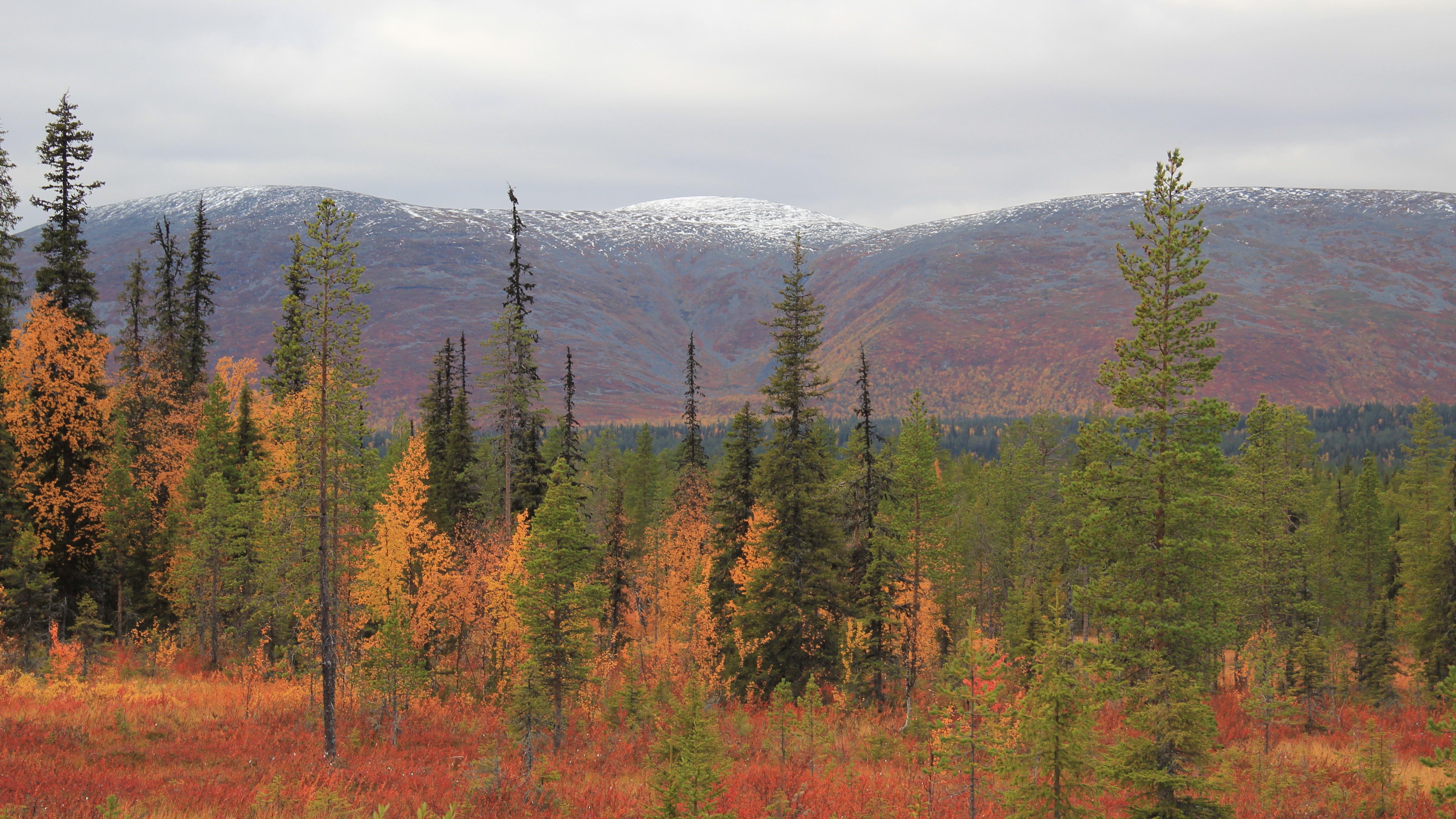 Lapland, Finland
