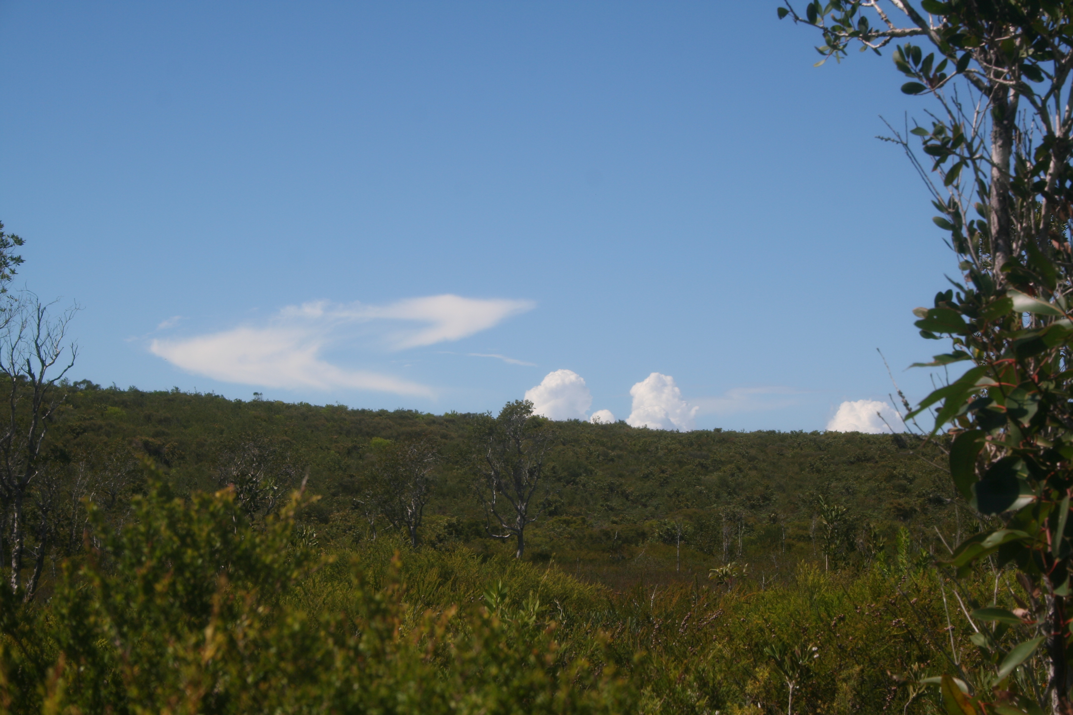 Booti Booti National Park, Australia